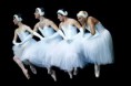 /album/a-tabudonto-ferfiak/a11-3-01-ballerina-jpg1/
